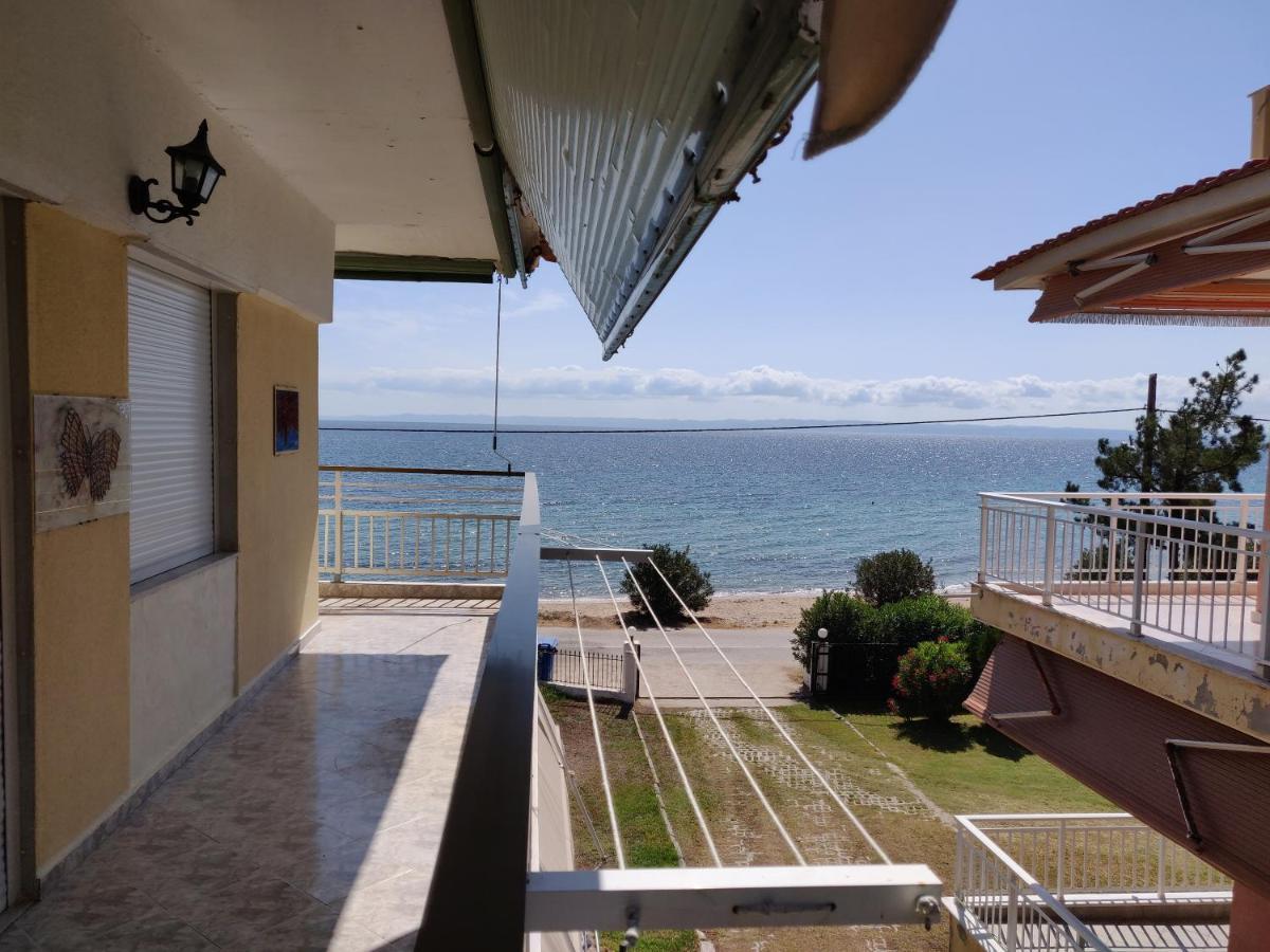 Entire Appartment 50M From Sea - Spiros Metamorfosi  Ngoại thất bức ảnh
